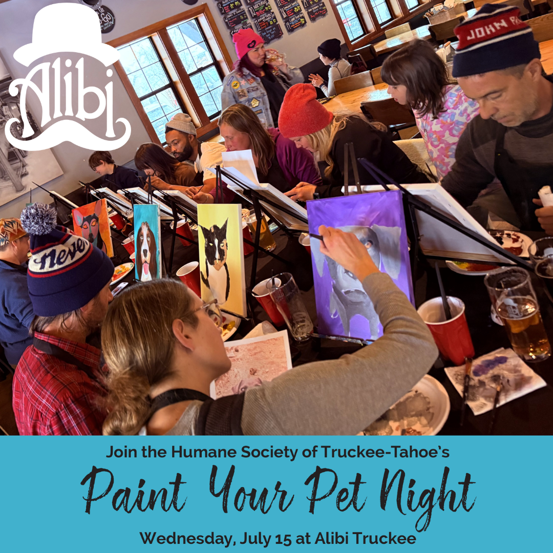 Paint Your Pet Night
