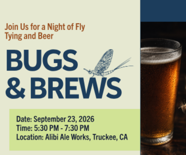 Bugs & Brews