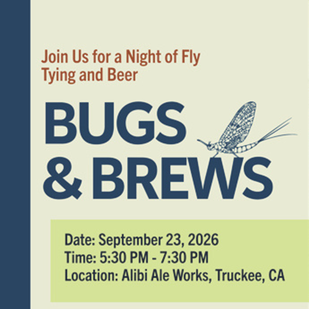 Bugs & Brews
