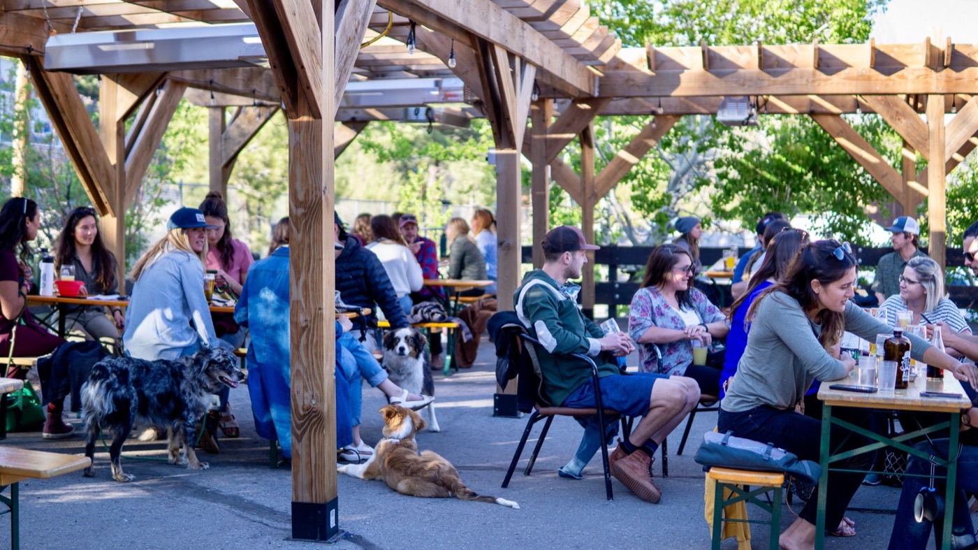 Dogs and guests relaxing together in the Alibi Ale Works beer garden